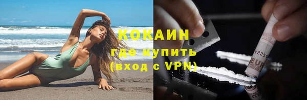 сатива Пересвет