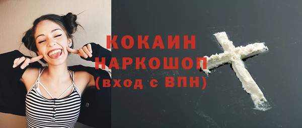 сатива Пересвет