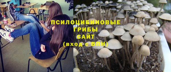 мескалин Алексин