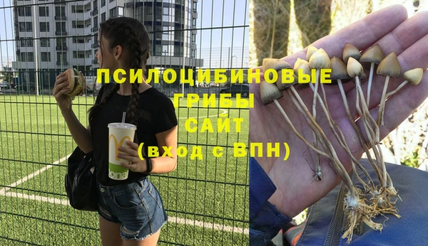 винт Алексеевка
