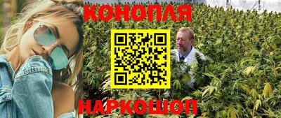 гидра Берёзовский