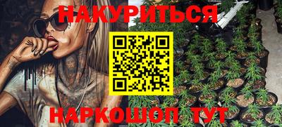 гидра Берёзовский
