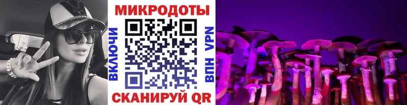 хочу   Ленинск-Кузнецкий  Псилоцибиновые грибы ЛСД 