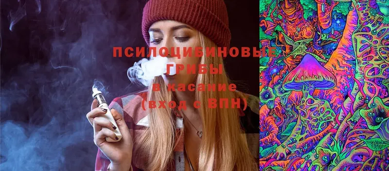 наркошоп  Ленинск-Кузнецкий  Галлюциногенные грибы Psilocybe 