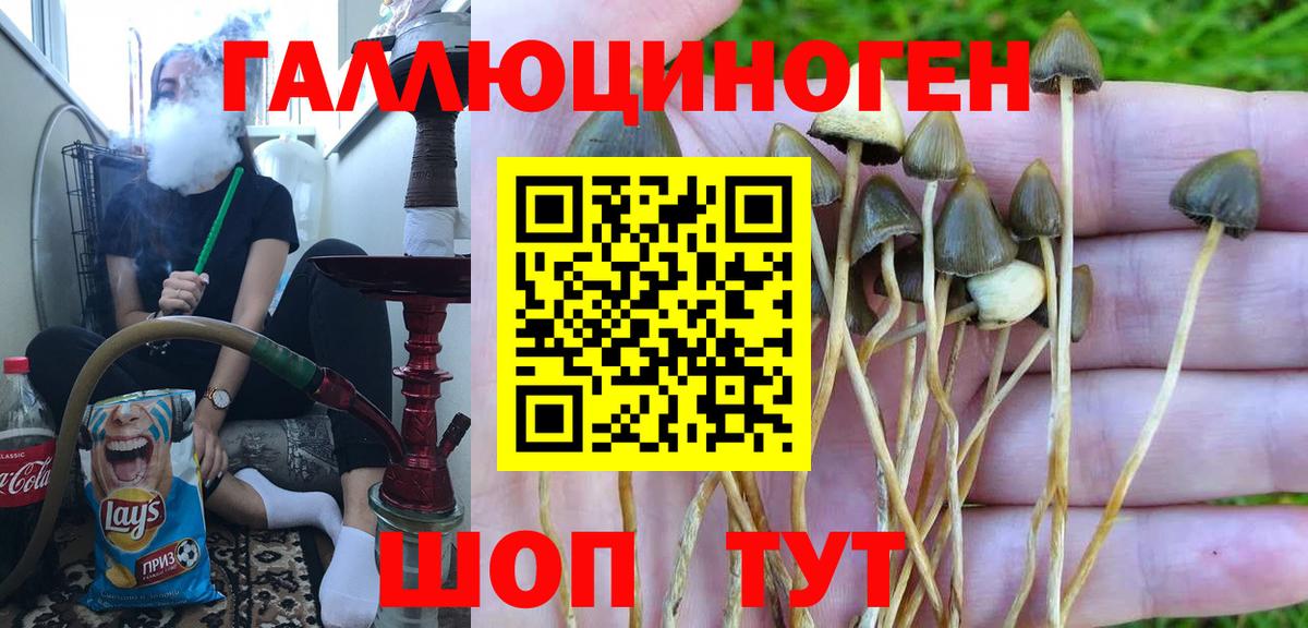 Ленинск-Кузнецкий  где найти наркотики  Вход с VPN  Псилоцибиновые грибы GOLDEN TEACHER 